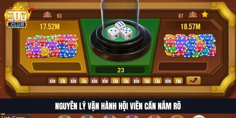 Nguyên lý vận hành hội viên cần nắm rõ